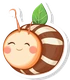 Manfred, a calm Asolene spixi snail